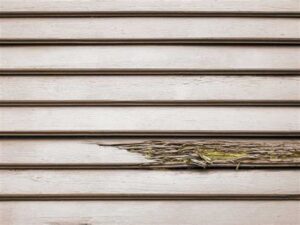 How Weather Affects Your Wood Siding's Lifespan