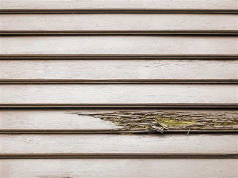 How Weather Affects Your Wood Siding's Lifespan